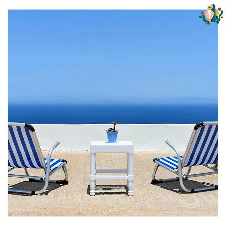 Mr & Mrs Parrot's Most Increadible Seaview *